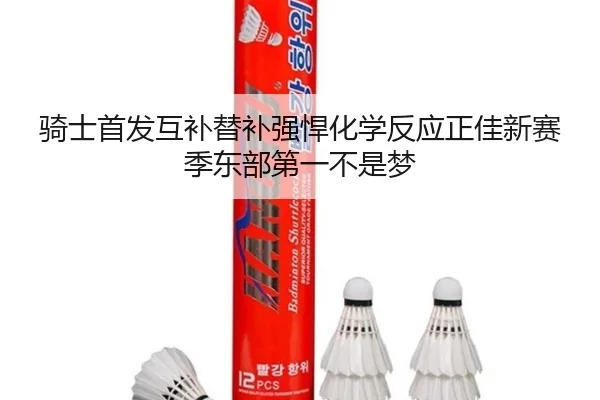 骑士首发互补替补强悍化学反应正佳新赛季东部第一不是梦