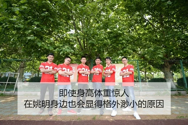 即使身高体重惊人 在姚明身边也会显得格外渺小的原因